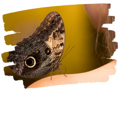 La somatopathie et la Méthode Poyet